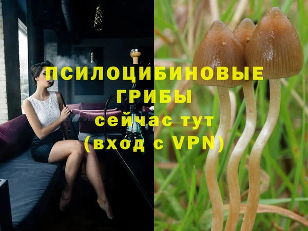 МДПВ Пестово
