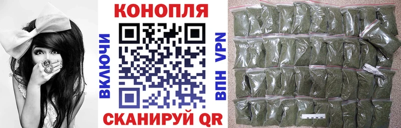 darknet какой сайт  Асино  Канабис ГИДРОПОН 